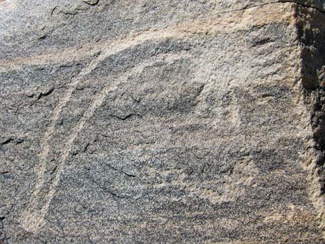 Rock Art Around Red Rock Canyon NCA