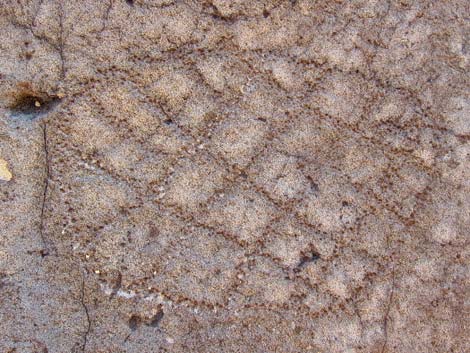 Rock Art Around Red Rock Canyon NCA