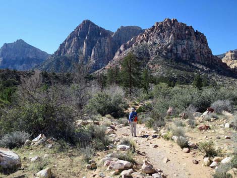 Pine Creek Trail