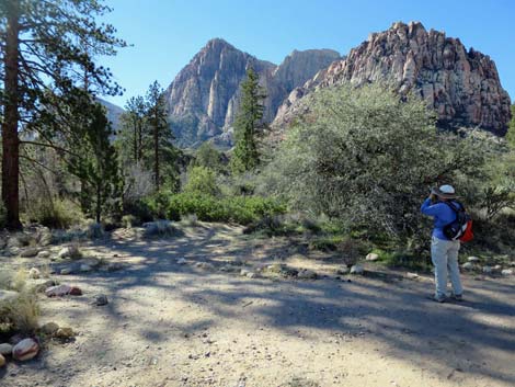 Pine Creek Trail