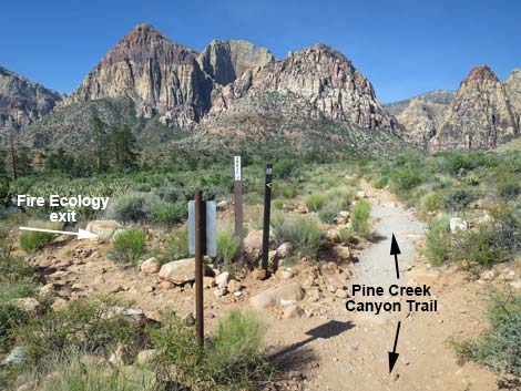 Pine Creek Canyon Trail