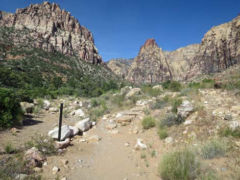 Pine Creek Canyon Trail