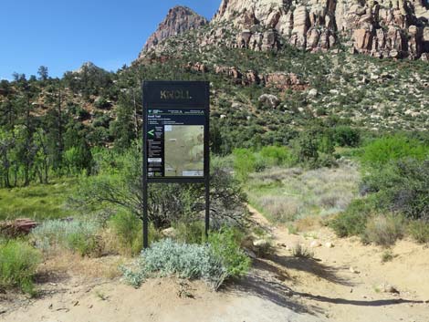 Pine Creek Canyon Trail