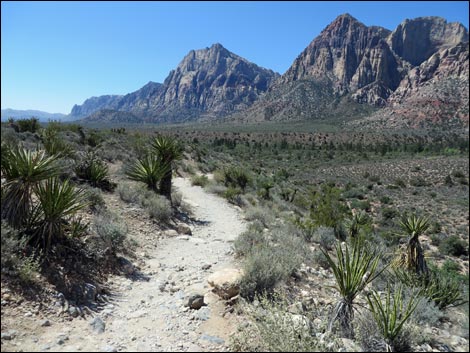 Pine Creek Trail