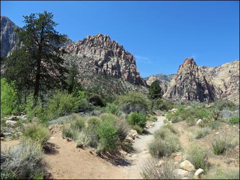 Rainbow Mountain Wilderness Area