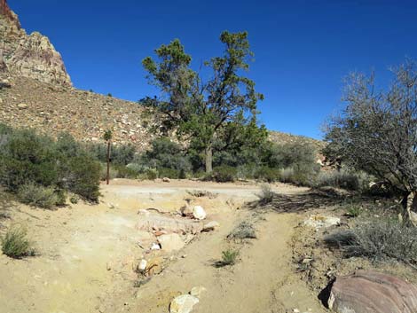 Pine Creek Trail