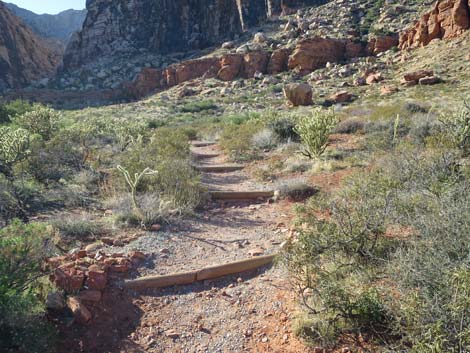 Pine Creek Loop Trail