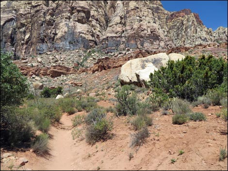 Pine Creek Trail