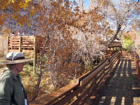 Red Spring Boardwalk