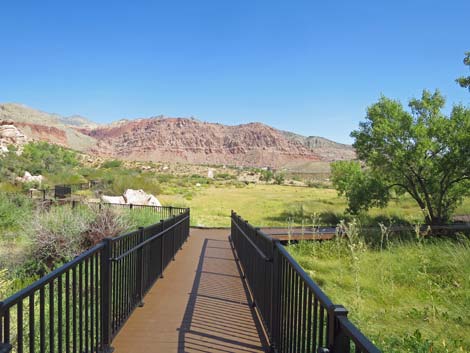 Red Spring Boardwalk