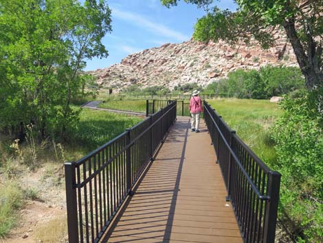 Red Spring Boardwalk