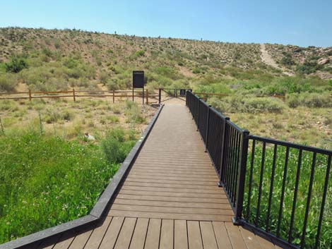 Red Spring Boardwalk