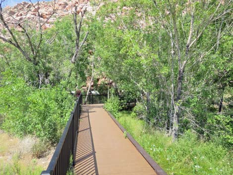 Red Spring Boardwalk