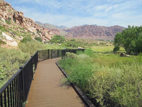 Red Spring Boardwalk