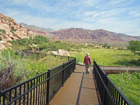 Red Spring Boardwalk