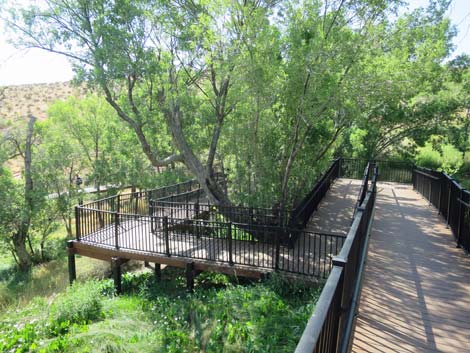 Red Spring Boardwalk