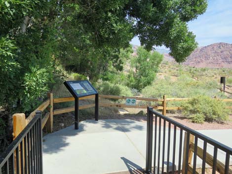 Red Spring Boardwalk