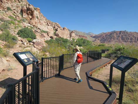 Red Spring Boardwalk Trail