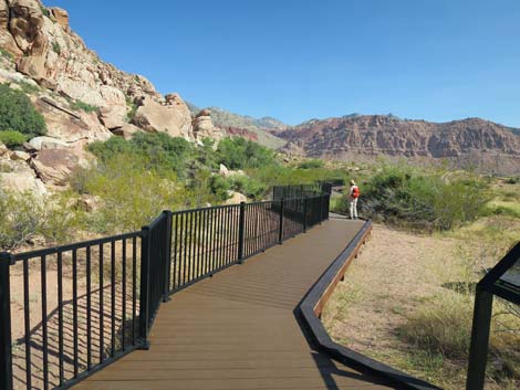 Red Spring Boardwalk Trail