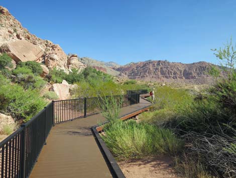 Red Spring Boardwalk Trail