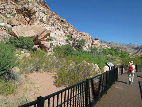 Red Spring Boardwalk