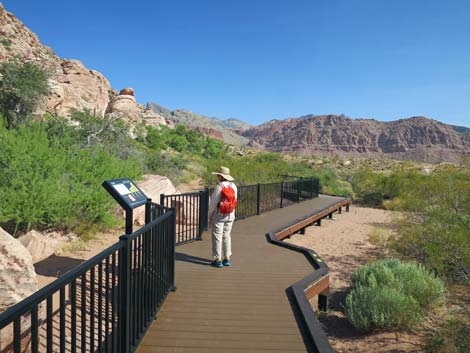 Red Spring Boardwalk Trail