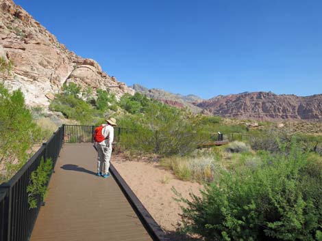 Red Spring Boardwalk Trail