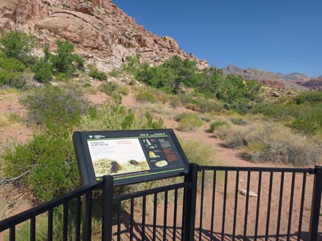 Red Spring Boardwalk Trail