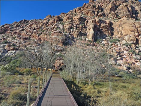 Red Spring Boardwalk