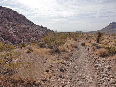 Ride Share Deluxe Loop Trail