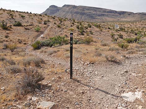 Ride Share Deluxe Loop Trail