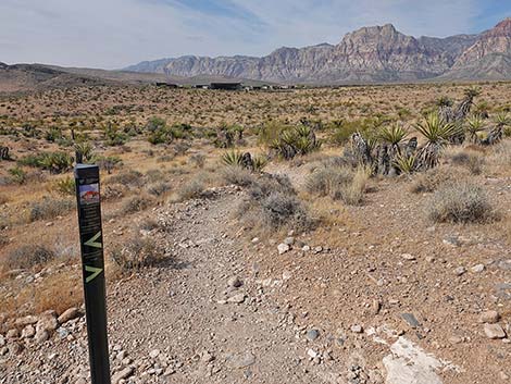 Ride Share Deluxe Loop Trail