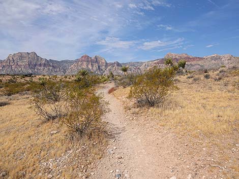 Ride Share Deluxe Loop Trail