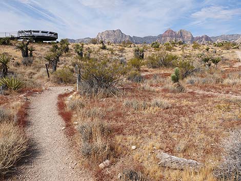 Ride Share Deluxe Loop Trail