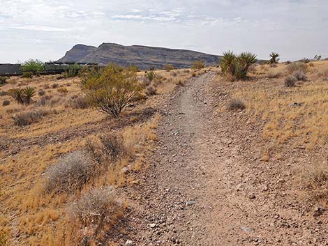 Ride Share Deluxe Loop Trail