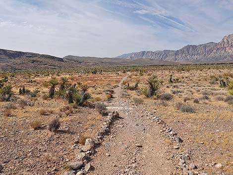 Ride Share Deluxe Loop Trail