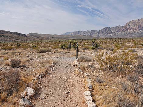 Ride Share Deluxe Loop Trail