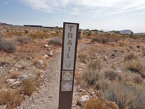 Ride Share Deluxe Loop Trail