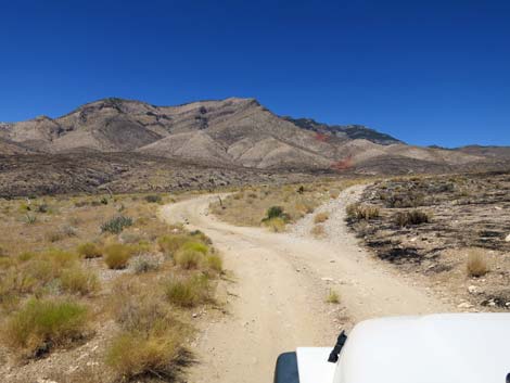 Ninetynine Mine Road