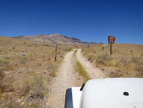 Ninetynine Mine Road