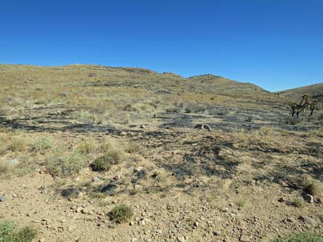 Cottonwood Valley Road