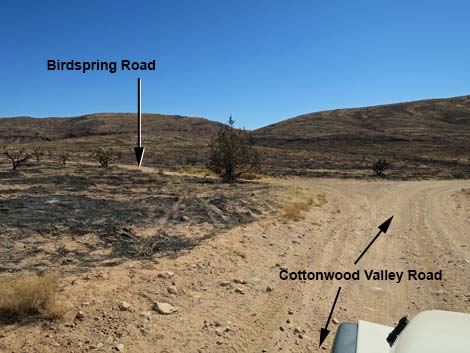 Cottonwood Valley Road