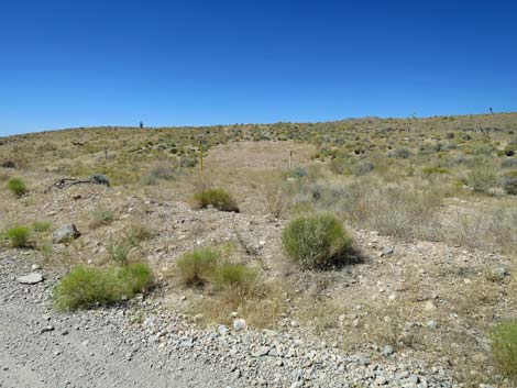 Cottonwood Valley Road