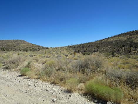 Cottonwood Valley Road