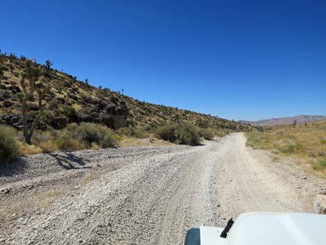 Cottonwood Valley Road