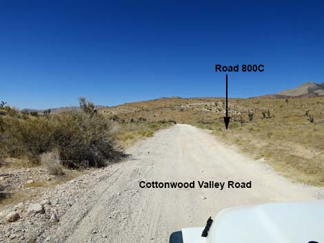 Cottonwood Valley Road