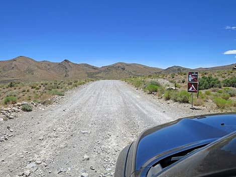 Cottonwood Valley Trailhead