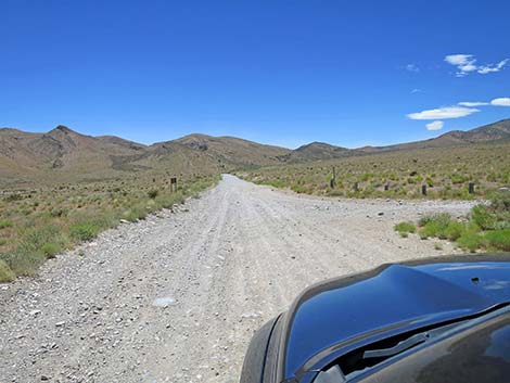 Cottonwood Valley Road