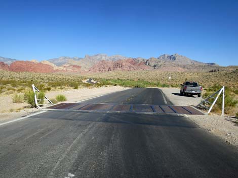 Calico Basin Road