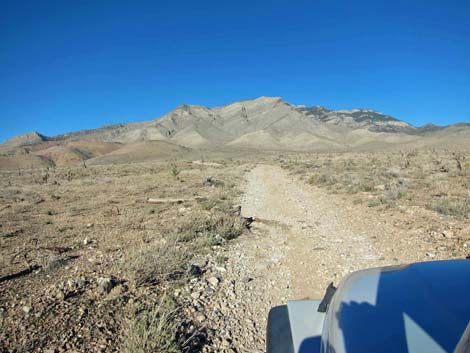 Ninetynine Mine Road